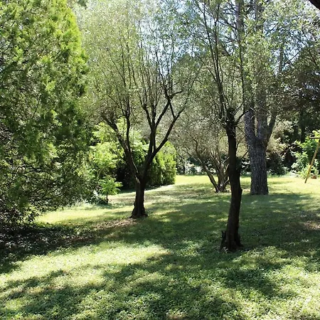Domaine De Molya - En Drome Provencale - Ardeche * Allan